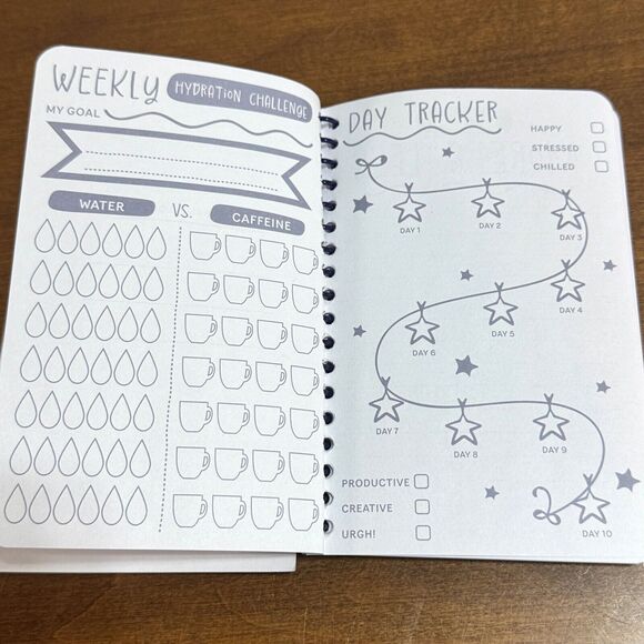 Small Notebook Spiral 4x6 Journal Goal Setting Trackers - Picture 2 of 6